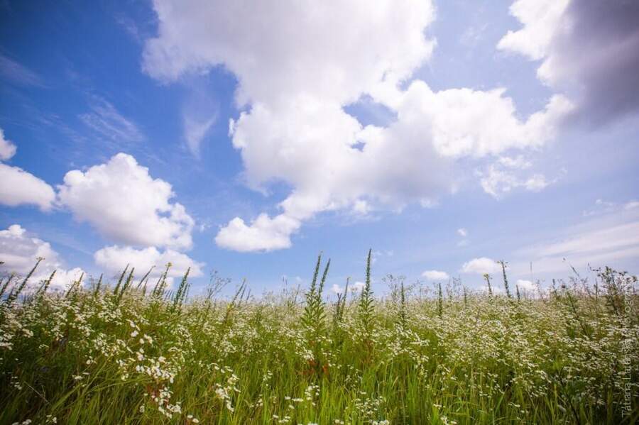 Severinovka-summer - 25