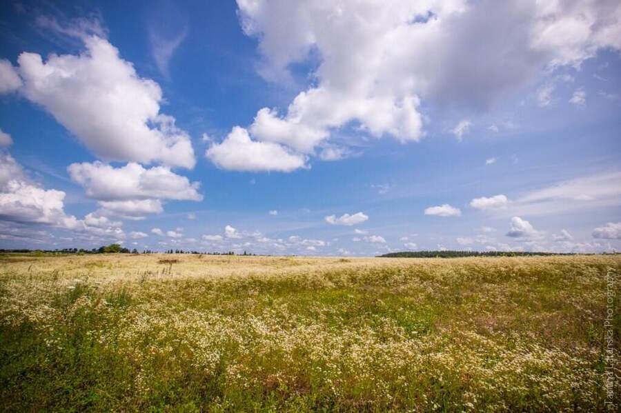 Severinovka-summer - 34