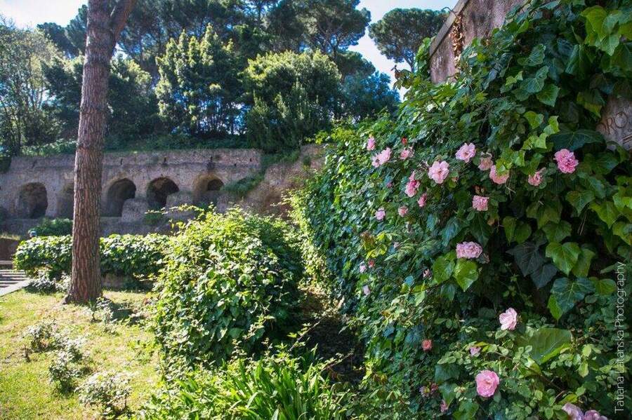 roma-day-2-28